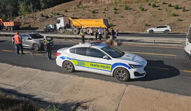 Yola atlayan büyükbaş hayvana kamyon çarptı