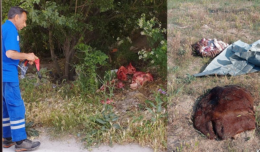 Kurban atıklarını bırakıp gitmişler