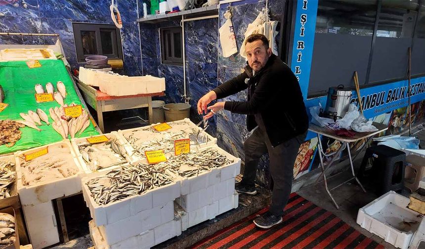 Çerkezköy’de Hamsinin Kilosu 100 TL