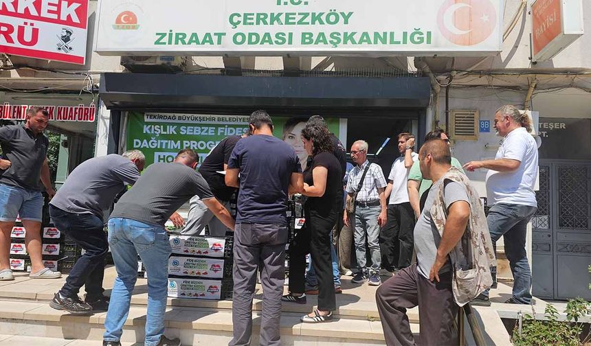 Büyükşehirden çiftçileri fide desteği